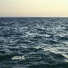 dEUS - Following Sea